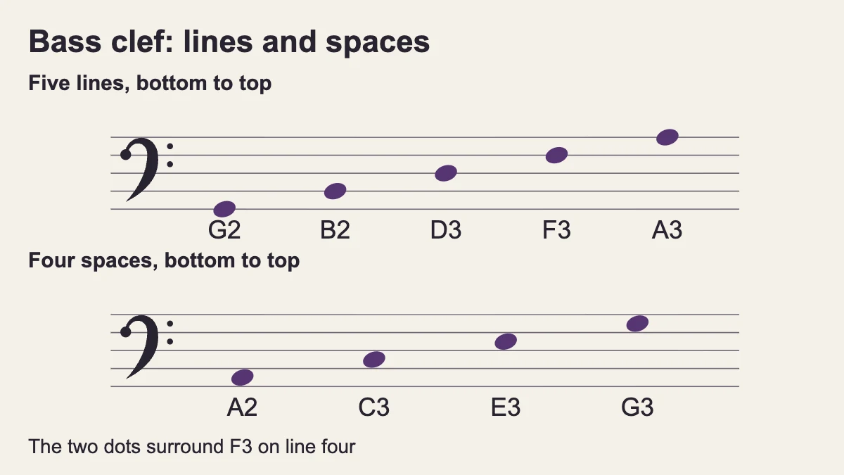 Bass clef lines G2, B2, D3, F3, A3 and spaces A2, C3, E3, G3, ascending.