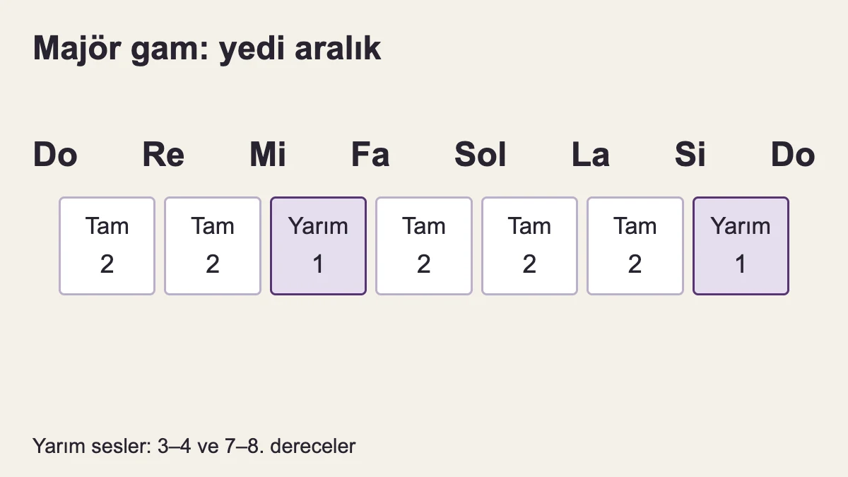 Majör gamın tam, tam, yarım, tam, tam, tam, yarım düzeni; alttaki sayılar yarım ses miktarı.