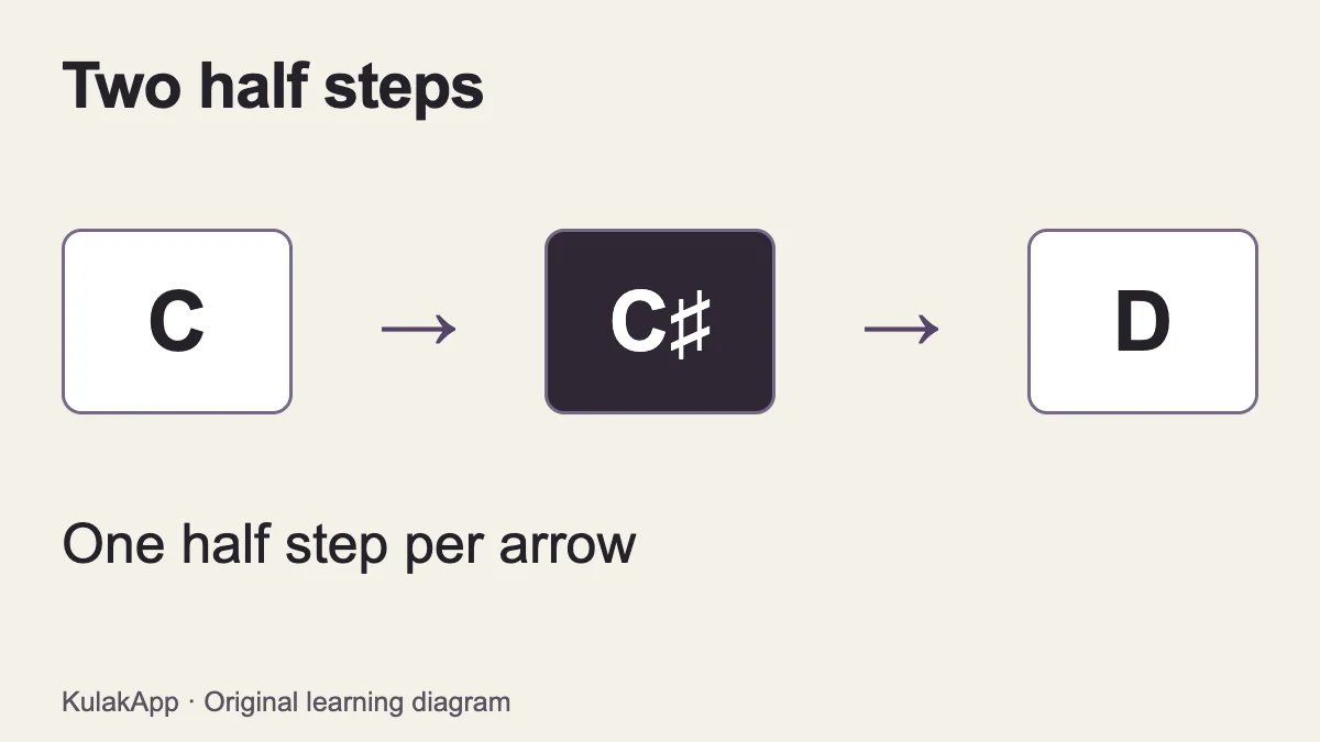 C to C sharp and C sharp to D are each one half step