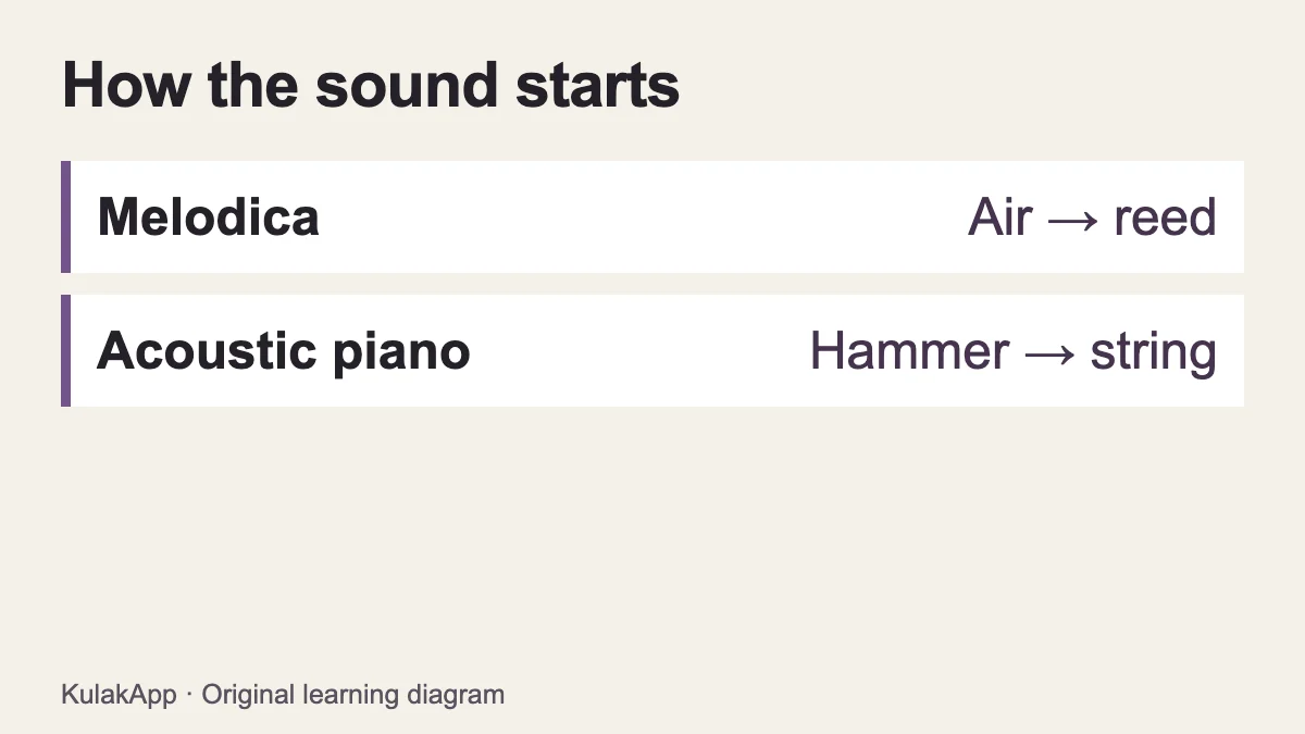 Air excites a reed in a melodica; a hammer strikes a string in an acoustic piano
