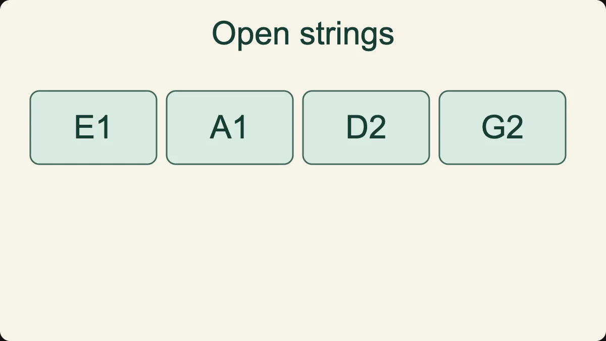 The four open-string sounding pitches in this bass map, from lowest to highest: E1, A1, D2 and G2.