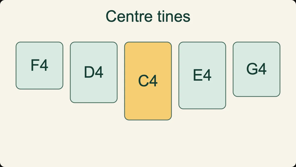 The five central tines from left to right: F4, D4, C4, E4 and G4. C4 is lowest.