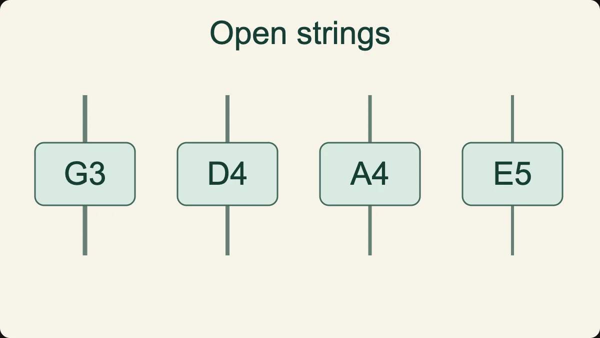 The four standard open-string pitches: G3, D4, A4 and E5, from low to high.