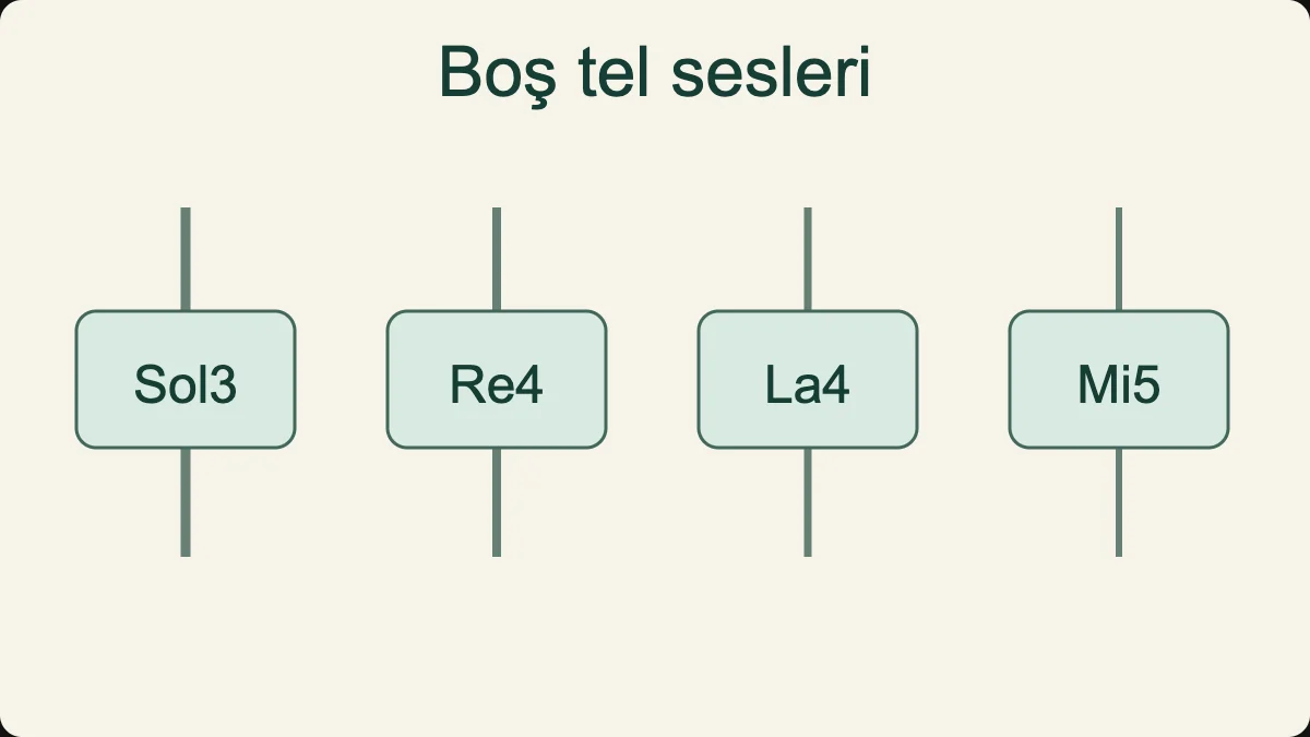 Standart boş tel sesleri kalından inceye Sol3, Re4, La4 ve Mi5 olarak sıralanır.