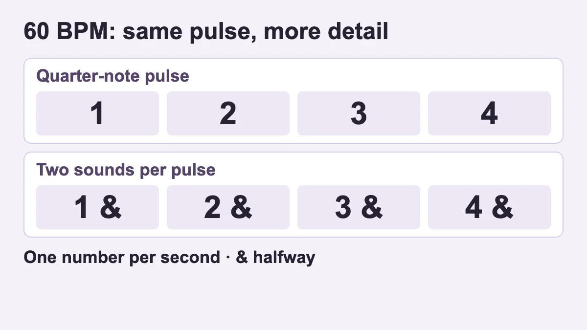 At 60 quarter-note BPM, numbered beats are one second apart. Two sounds per pulse add a click halfway between consecutive numbers.