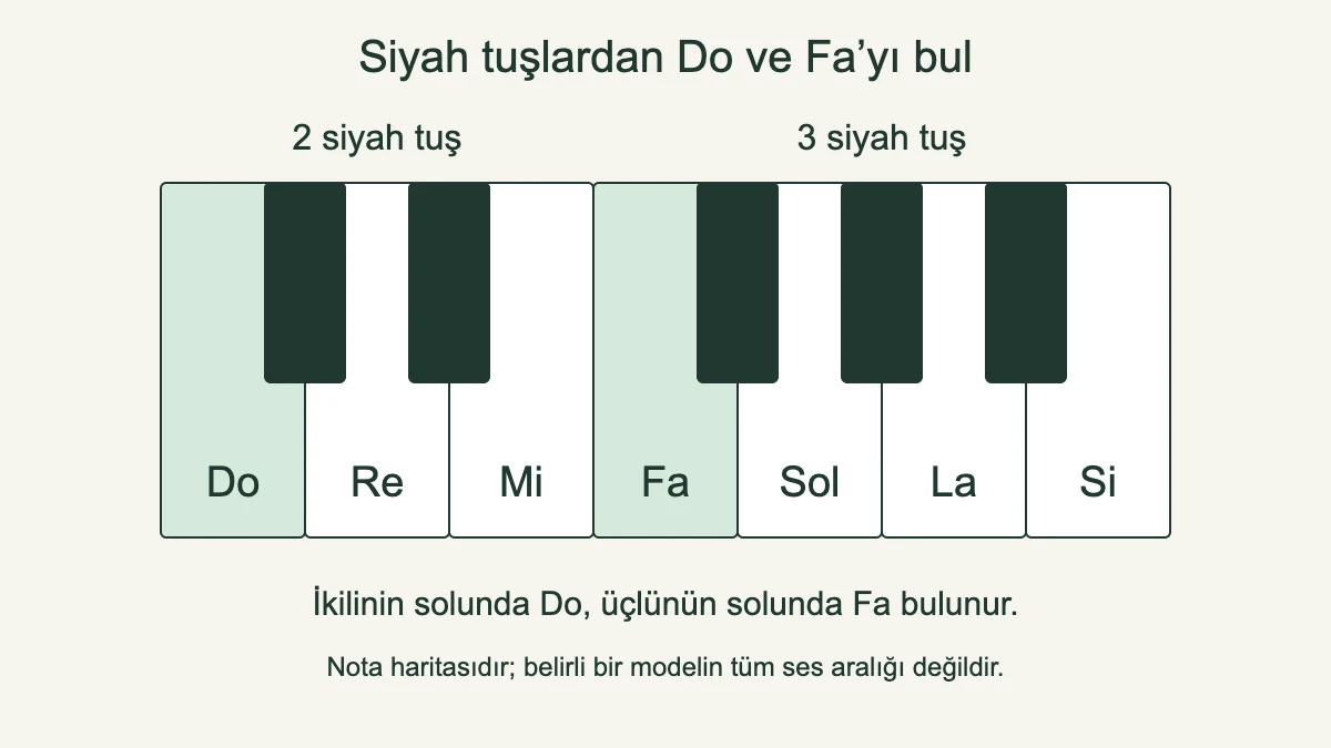 İkili ve üçlü siyah tuşların solundaki Do ve Fa