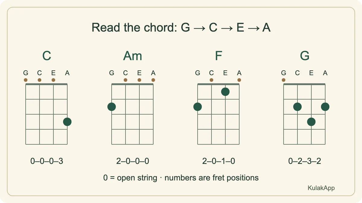 C, Am, F and G: filled markers show fretted positions; small circles above the nut show open strings.