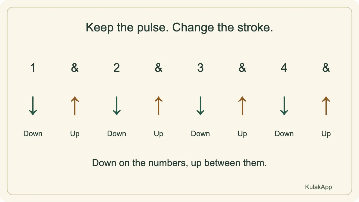 In this eighth-note exercise, numbers are downstrokes and the offbeats are upstrokes.